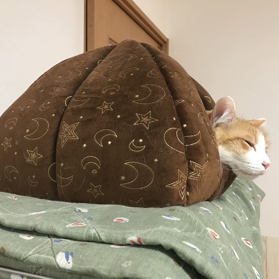 スカイのカバー写真