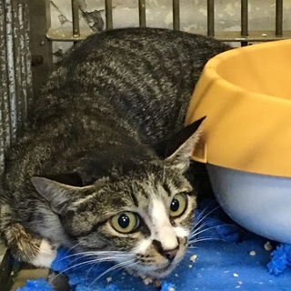 里親さんが決まりました