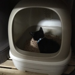 「てっちゃん、大人の階段登ってたんかい」サムネイル1