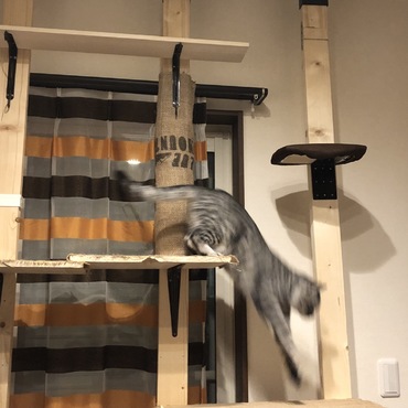 の写真
