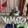 の写真