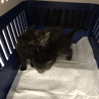 団体さんが引き出して下さいました★