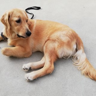 人が大好きゴールデン７ヶ月