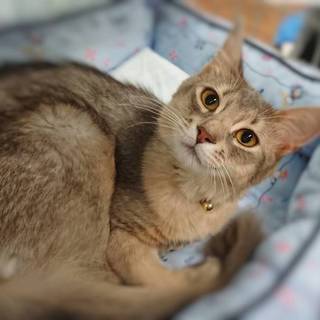 【9/1東日本橋】無邪気なプリンス♡そらくん