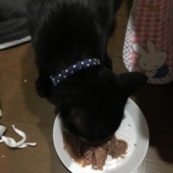 「意外に嫌がらない」サムネイル2