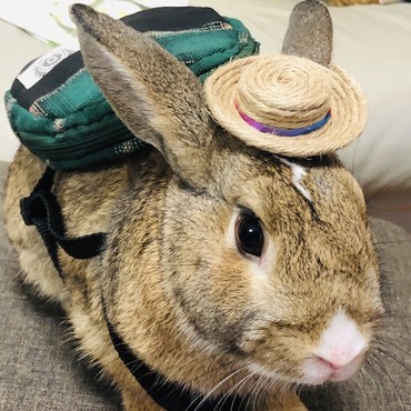 夏のお出かけ