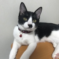 さち
