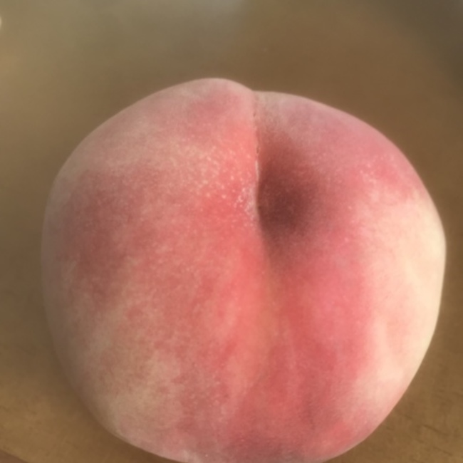 しゅんたんmamaのカバー写真