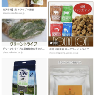 里親決定しました。