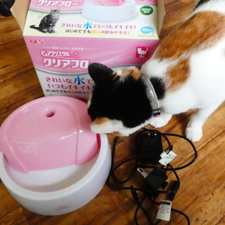 遅れた夏休みの宿題