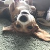 の写真