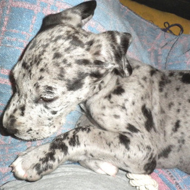 寝ている赤ん坊のりぼん…愛してるぜ！