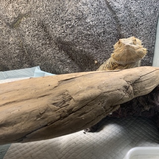 沢山のご応募を頂きたので1度終了させて頂きます。