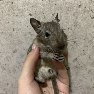 沢山のご応募を頂いたので1度終了させて頂きます！