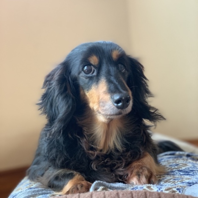 ぼたもちもっちのカバー写真