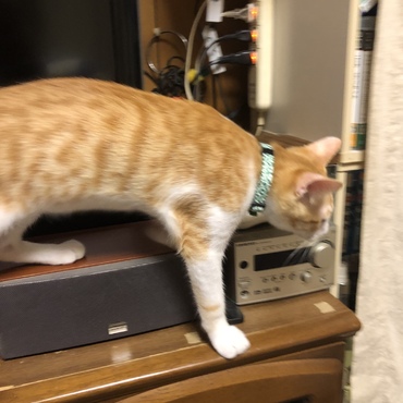 の写真