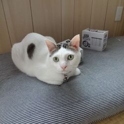 「ユズコさん、雨だけど」サムネイル1