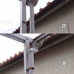 「ユズコさん、雨だけど」サムネイル2