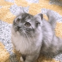 可愛がってくださる方へ＊一時締め切ります＊