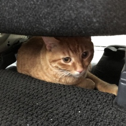 「心配性のオカンだけジタバタ…Σ（・□・；）」サムネイル2