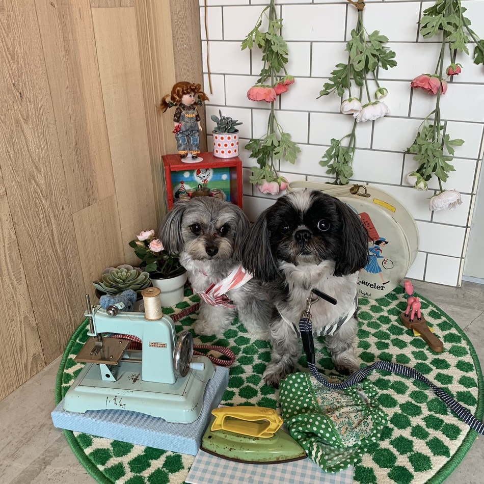 ベルのカバー写真