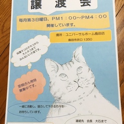 島田市動物ボランティア譲渡会