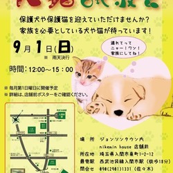 犬猫譲渡会　☆入間市ジョンソンタウン☆