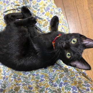 天真爛漫、頑張り屋の「こー」くん