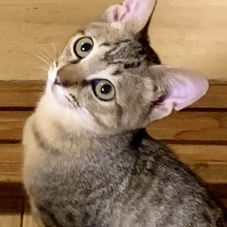 超甘えんぼのチャック…3ヶ月半