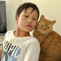定春