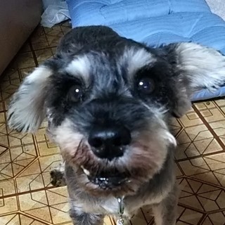 怖がりだけど人が好きな女の子♪