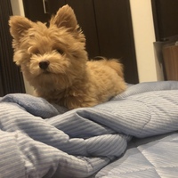 堀埜 まる太