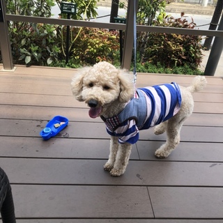 ★皆様ありがとうございましたm(._.)m★