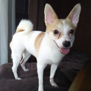 問合せ多く終了します