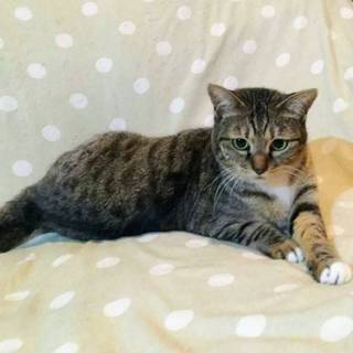 【エキカ】おかげさまで里親様が決まりました。