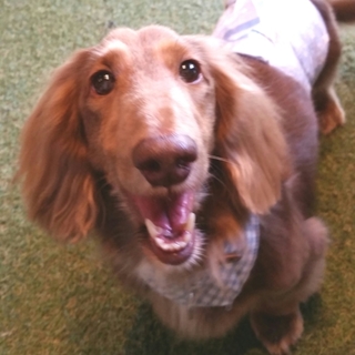 超超超甘えん坊なキヨくん