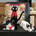 性格◎ 子猫兄弟2匹で里親様募集中
