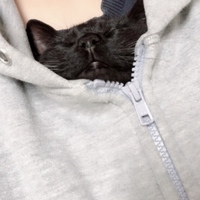 みぃ