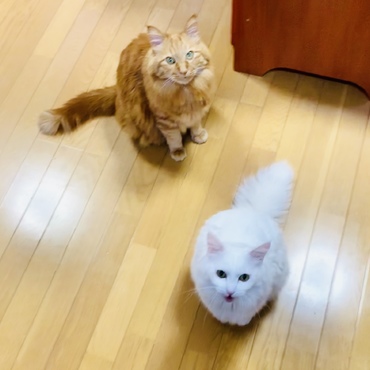 ねぇ、おかぁちゃん！