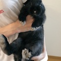 交渉中です