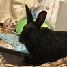 交渉中です サムネイル2