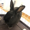 交渉中です サムネイル3