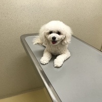 くぅ