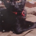 小熊みたいなアル君