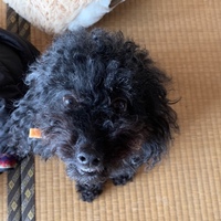 うに
