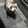 の写真