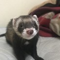 掲載し直すか検討中