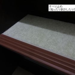 「てっちゃん、探検に忙しい」サムネイル2