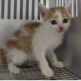 団体様が引き出して下さいました。176