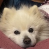 の写真